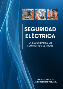Seguridad El&eacute;ctrica: Manual de Seguridad El&eacute;ctrica