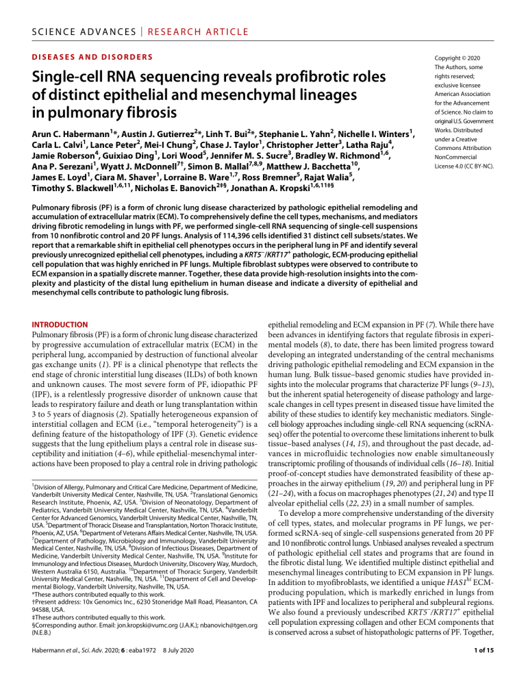 Single-cell RNA Sequencing: Epithelial & Mesenchymal Roles in PF