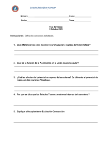 Hoja de trabajo Fisiologia Contracci&oacute;n Muscular