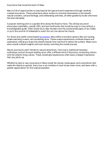 Maui Excursions: Discover the Heart of the Island