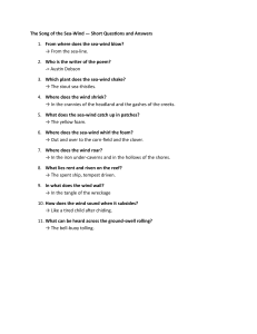 The Song of the Sea-Wind: Questions & Answers