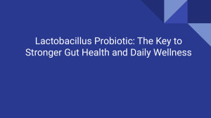 Lactobacillus Probiotic: Gut Health & Wellness Benefits