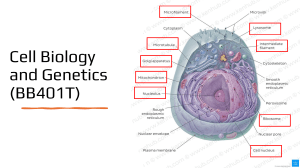 Cell Biology and Genetics (BB401T) Syllabus & Lecture Notes