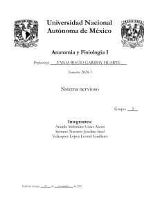 Sistema Nervioso
