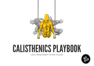 Calisthenics Playbook: Visual Bodyweight Fitness Guide
