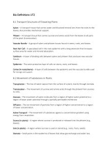 Biology Definitions: Plant & Animal Transport Systems & Circulatory Health
