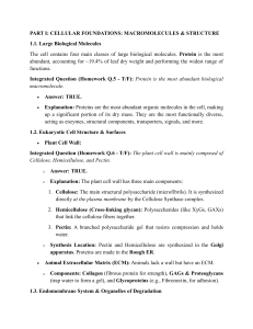 Cell Biology Study Guide: Macromolecules, Transport, Respiration, Photosynthesis