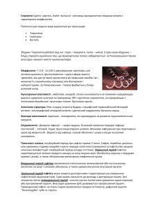 Спірохети: Treponema, Leptospira, Borrelia - Конспект лекцій