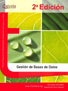 Gesti&oacute;n de Bases de Datos: Libro de texto de administraci&oacute;n de bases de datos