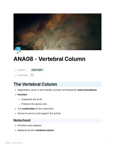 Vertebral Column Anatomy: Structure, Function, Evolution