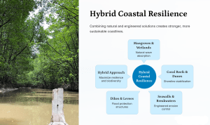 Hybrid Coastal Resilience: Natural & Engineered Solutions