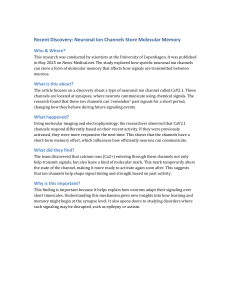 Neuronal Ion Channels Store Molecular Memory: New Discovery