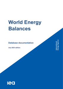 World Energy Balances Database Documentation - IEA July 2025 Edition