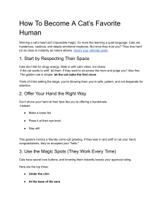 How to Become a Cat's Favorite Human: A Guide