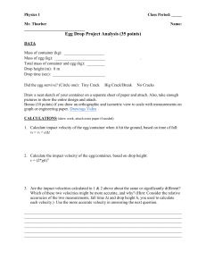 Physics 1 Egg Drop Project Analysis Worksheet - Kinematics & Impact