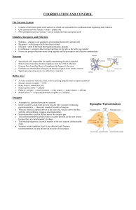 Nervous System: Coordination and Control Notes