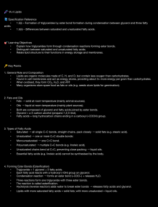 Lipids: Triglycerides, Fatty Acids, and Ester Bonds