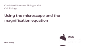 Microscope & Magnification Equation | Cell Biology KS4 | Miss Wong