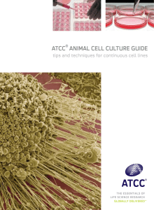 ATCC Animal Cell Culture Guide: Tips & Techniques for Continuous Cell Lines