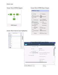 SAP & BPMN Screenshots: Diagrams, Logon, Server