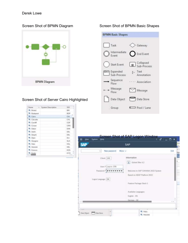SAP & BPMN Screenshots: Diagrams, Logon, Server