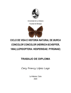 Ciclo de Vida de Burca concolor: Trabajo de Diploma