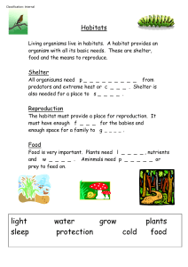 Habitats Worksheet: Basic Needs of Living Organisms