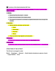 GI Tract Functions & Innervation: Lecture Notes