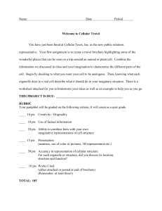 Cellular Travel Brochure Project: Animal & Plant Cell Organelles