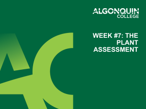 Plant Assessment: Combustion, Boilers, Compressed Air & Pumps