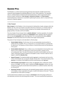 Froth Flotation: Transport Mechanisms Explained