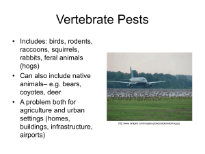 Vertebrate Pests: Biology, Impacts, and Management Strategies
