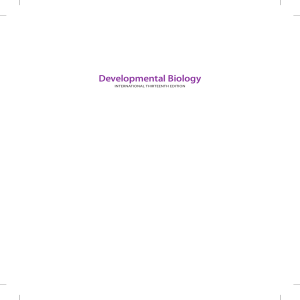 Developmental Biology Textbook: Thirteenth Edition