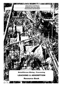 Sunrise Dam Gold Mine: Leaching & Adsorption Processing Guide