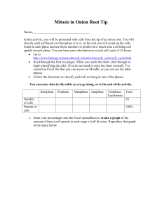 Mitosis in Onion Root Tip Lab Activity: Cell Cycle Phases & Analysis