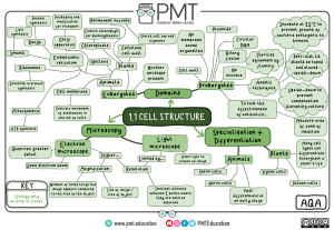 1.1 Cell Structure Biology Mind Map | Organelles & Microscopy | PMT