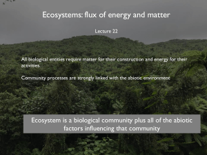 Ecosystems: Energy & Matter Flux, Production, & Nutrient Cycles