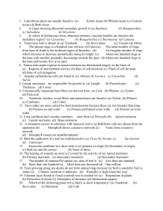 Plant Anatomy & Physiology MCQs: Early College Biology Questions