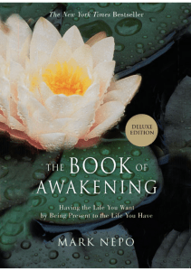 The Book of Awakening: Daily Reflections for a Mindful Life by Mark Nepo