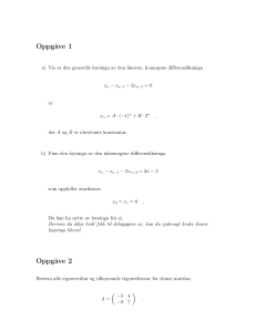 Matematikkoppgaver: Differenslikninger, Matriser, Serier