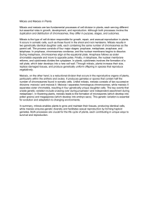 Mitosis and Meiosis in Plants: Cell Division Explained