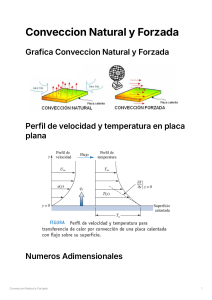 Convecci&oacute;n Natural y Forzada: N&uacute;meros Adimensionales y Perfiles