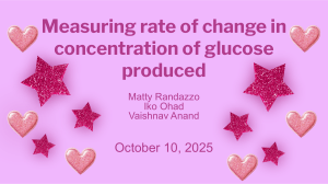 Lactase Enzyme Reaction Rate: Glucose Concentration Study