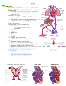 Pediatric Cardiac Review: Fetal Circulation & Congenital Heart Disease