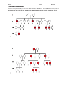 Pedigree Practice Problems: Genetics Inheritance Worksheets