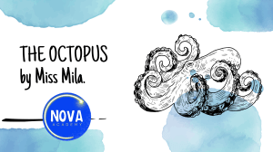 Octopus Facts: Biology, Habitat & Intelligence | Miss Mila