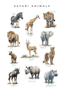 Safari Animals Poster: Educational Illustrations for Kids