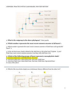 Cladogram Practice & Test Review: Phylogeny Questions & Answers