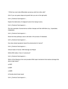Chemical Carcinogens & Cancer: Study Questions on DNA Damage & Toxins