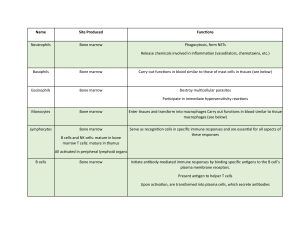 Immune Cells: Production Sites & Functions | Biology Study Guide